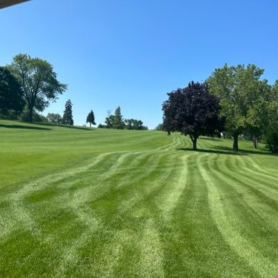 sobriegel's profile picture. consciously active non active user of social media