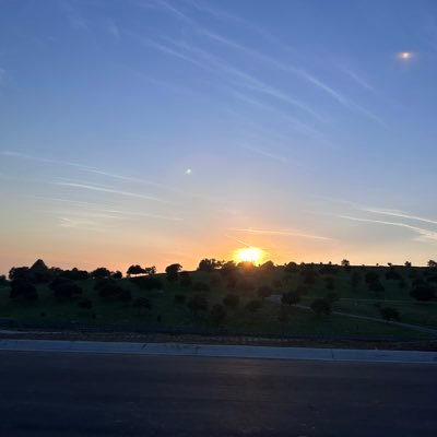 iamZypher's profile picture. 