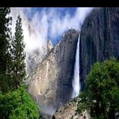 AMuhammad51777's profile picture. 