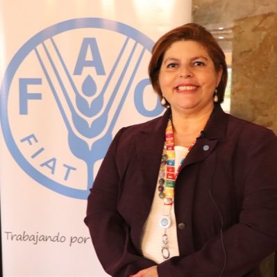 Representante Asistente de Programas - FAO Honduras