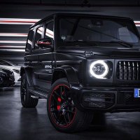 Thee Steve (@theesteve1) 's Twitter Profile