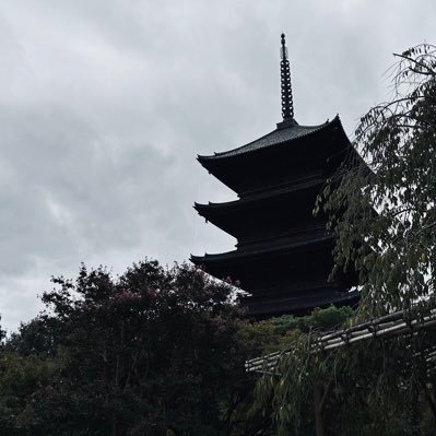 boz1256's profile picture. 情報収集 副業/ポイ活/マイル/🍎