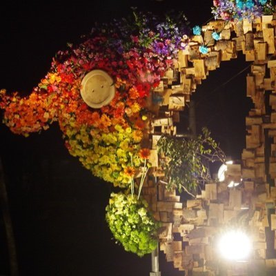 JacobDutt469729's profile picture. A 2D/3D hybrid metaverse featuring Free 2 Play 2 Earn card strategy gaming and land ownership!