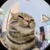 its_urhoneybooboobear (@tran_theyasgirl) Twitter profile photo its_urhoneybooboobear (@tran_theyasgirl) Twitter profile photo