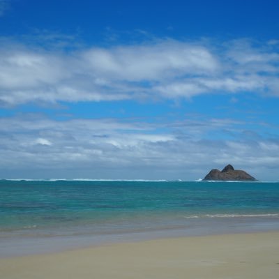 s8sm0mr8l's profile picture. シンママ(予定)👶0歳/ 別居。疲弊。産後クライシス/HSP/メンタル崩壊/義アレ/産後鬱