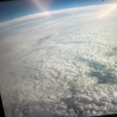 yhzhvizyhnkh's profile picture. 情報を収集させていただいております。 天才の皆さまいつもありがとうございます。 ポケモンはピッピが好きです。