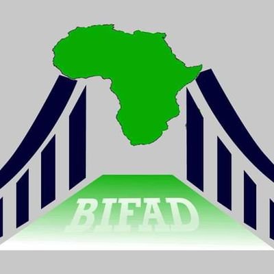 Founder/CEO @Bridge Initiative For African Development (bifad) working to develop a collective will and consciousness among young Nigerians