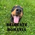 Relocate to Romania 🏴󠁧󠁢󠁥󠁮󠁧󠁿 (@randomromania) Twitter profile photo