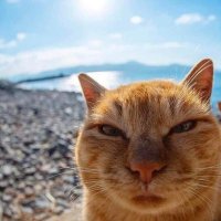 jeiwan (@jeiwan7) 's Twitter Profile Photo jeiwan (@jeiwan7) 's Twitter Profile Photo