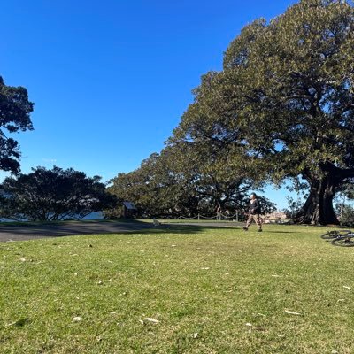 cherry617514's profile picture. 