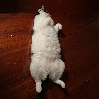 ZMCNFK's profile picture. Looking around.