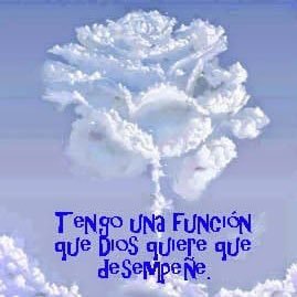 BeautyLife_R's profile picture. 