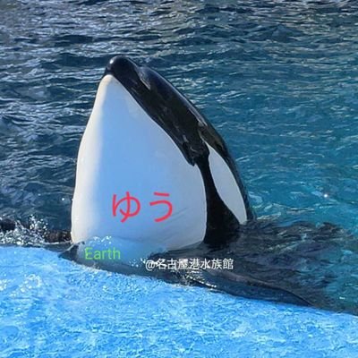 yu321orca's profile picture. 佐藤健さんが好きすぎてアカ取得。
フォローはおまかせします。
フォロバはメッセージください。
出会いはメイちゃん。
るろ剣で堕ち…我慢とスルーの後（笑）《半分、青い》律で大爆発w
千葉県在住、30代主婦。
２人の息子とうさぎ（ネザー）がいます。
好き→佐藤健、ORCA(シャチ)、浅倉大介、西川貴教など。