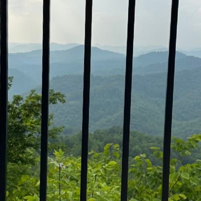 gilleyspasadena's profile picture. 