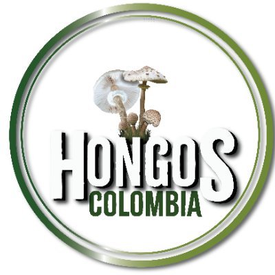 Recorriendo el pais en busca de las maravillosas setas que lo colorean  🍄
Talleres 
Feria del hongo colombia
Campamentos 
Formaciones virtuales