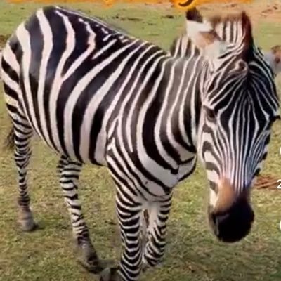 MelB72908085's profile picture. I Love Washington DC ❤️💙❤️💙