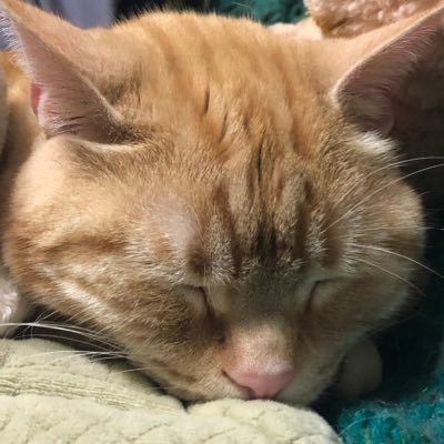 kbkm7723kbkm's profile picture. 