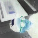 Richard Xavier - @RichardXavier8 - Twitter