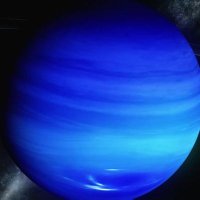 Neptune (@ops_overlord) 's Twitter Profile Photo