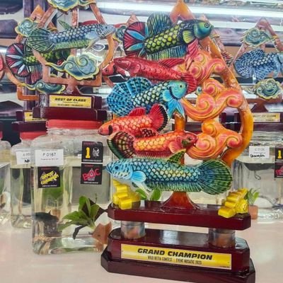 fintasticbeta's profile picture. hunter antuta
Sb type
B type 
A type
Xtype
JFM 

fb  fintasticbetafarm
ig fintasticbettafarm
phone number +6282122581398