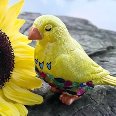 Canary4026 Profile Picture