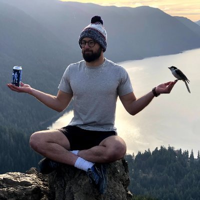 libnanman's profile picture. Tesla Computer Engineer