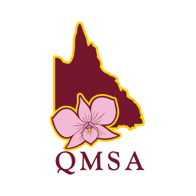 Follow for tournament updates, event photos, and the latest squash news from the Queensland Masters Squash Association (QMSA) in Australia.