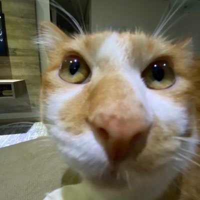 zombifiedgus's profile picture. they wanna be me, they hate that they not, that shit so sad