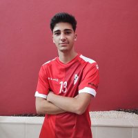 Luís (@fallendatuga) 's Twitter Profile