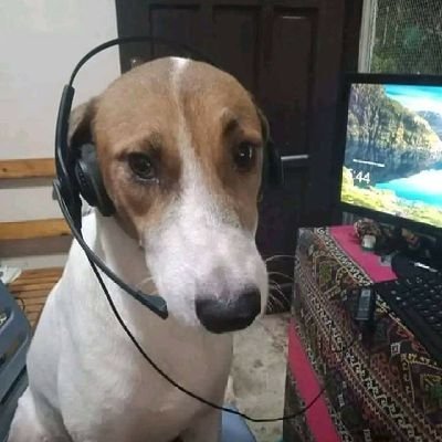 nznsnma's profile picture. 