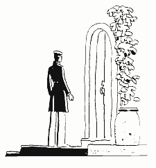 Tom4Dom's profile picture. Open minded