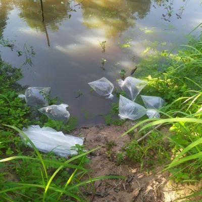 wellconcepttwo's profile picture. 