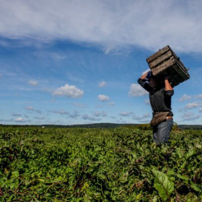 a young farmer