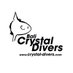 Crystal Divers (@CrystalDivers) Twitter profile photo