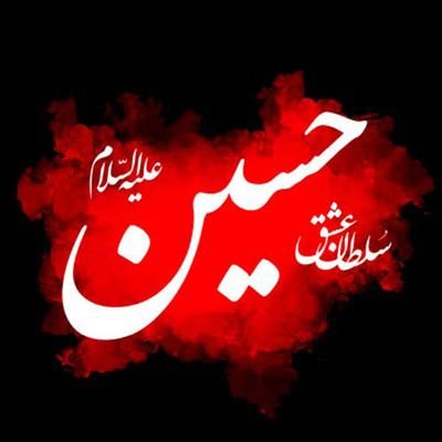 من تشنه لبم آب حیاتم بدهید
راهی بــــــــــه سفینة النجاتم بدهید
من تذکرۀ کرببلا می خواهم
ای آل محمد (ص) این براتم بدهید