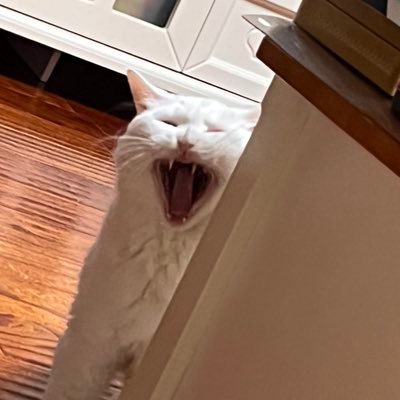 allendith_chen's profile picture. 困困困困困