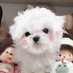 ฟอ ออ งอ สบู่ (@comeusabuu) Twitter profile photo ฟอ ออ งอ สบู่ (@comeusabuu) Twitter profile photo