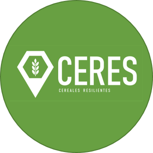 RedCeres es un consorcio de 15 grupos de investigación españoles de Investigación en cereales resilientes y de calidad para la seguridad alimentaria española