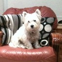 Ann Marie Dempsey - @Scrappydem - Twitter