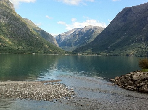 ALDLC's profile picture. Out of the blue and into the black.