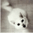 lacodukem's profile image