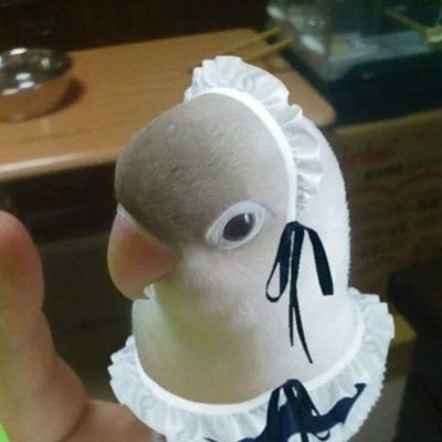 cumian278923's profile picture. 感谢喜欢我的作品，在阴暗的角落里让我感到一丝温暖。
主要接稿电子邮件：861392710@qq.com