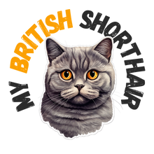 Sarah Davis here, cat lover & vegan, sharing my life with adopted British Shorthairs at https://t.co/XvOvgQNyQ1