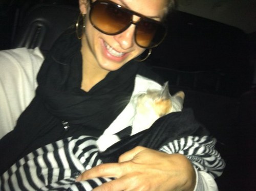 ItsSamTouwYo's profile picture. I am a GEM