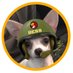 Stuart and Bess the chomping Chi! Raaar! (@jessecuster72) Twitter profile photo