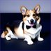 hornycorgi (@hornycorgi) Twitter profile photo hornycorgi (@hornycorgi) Twitter profile photo
