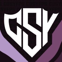 COSYFPS (@cosyfps) 's Twitter Profile