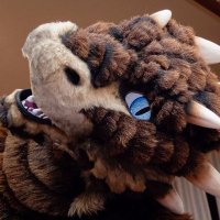 Drachetto 🐲🍝 (@drachetto) 's Twitter Profile