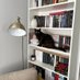 Pippin Reads Books 📚✨ (@hodgs75067) Twitter profile photo Pippin Reads Books 📚✨ (@hodgs75067) Twitter profile photo