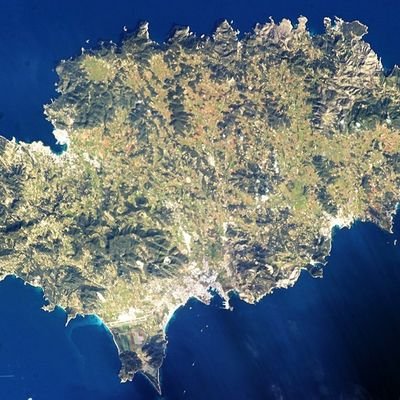 BenMooreNZ's profile picture. Investor